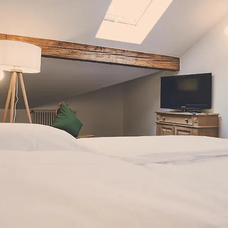 Aparthotel Der Lederer Hof - Boutique 3*