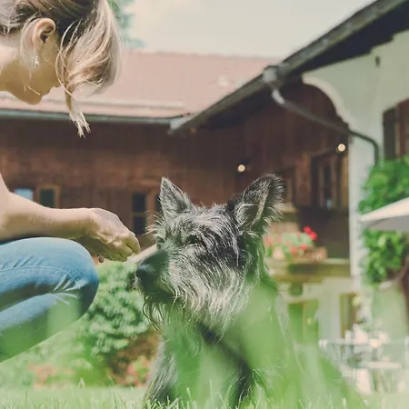 Hotel apartamentowy Der Lederer Hof - Boutique